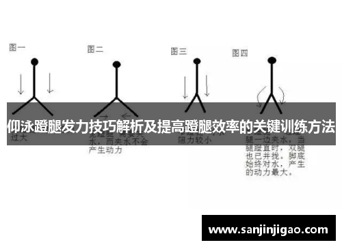 仰泳蹬腿发力技巧解析及提高蹬腿效率的关键训练方法