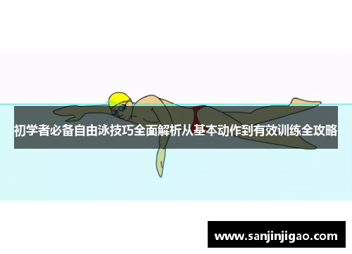 初学者必备自由泳技巧全面解析从基本动作到有效训练全攻略