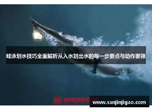 蛙泳划水技巧全面解析从入水到出水的每一步要点与动作要领